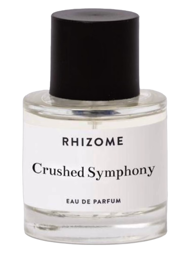 Rhizome Crushed Symphony