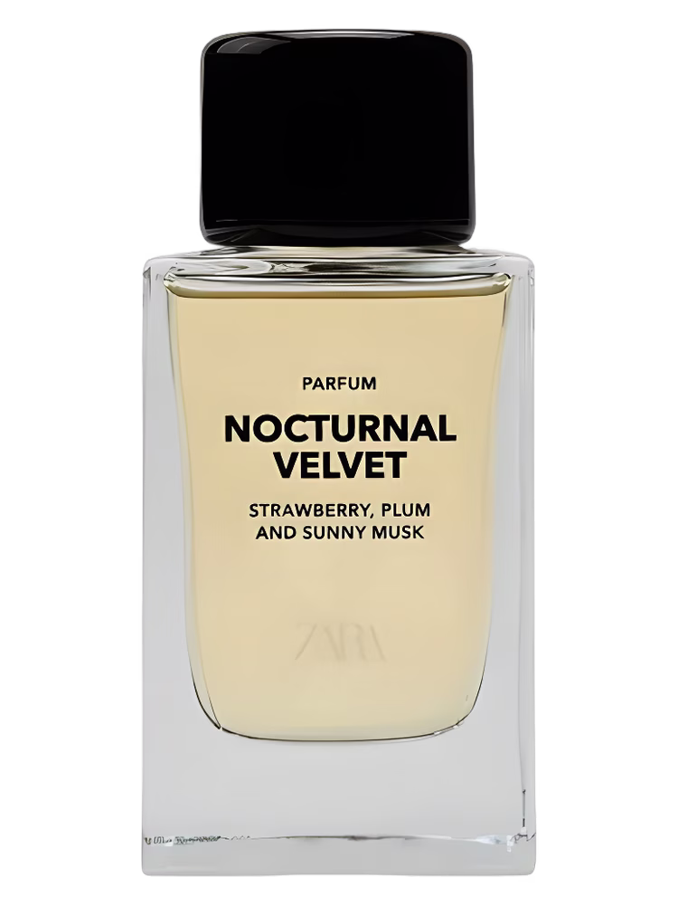 Zara Nocturnal Velvet