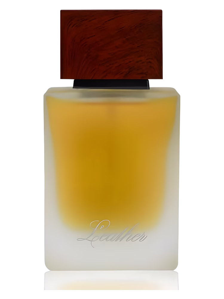 Ahmed Al Maghribi Leather
