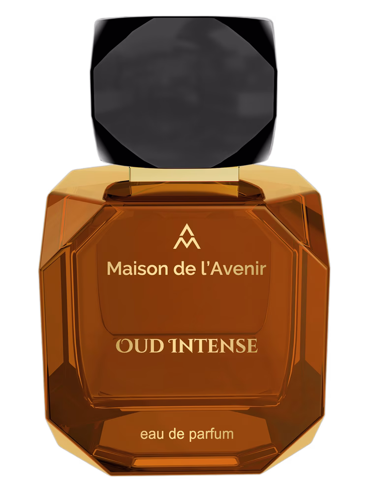 Maison de l'Avenir Oud Intense