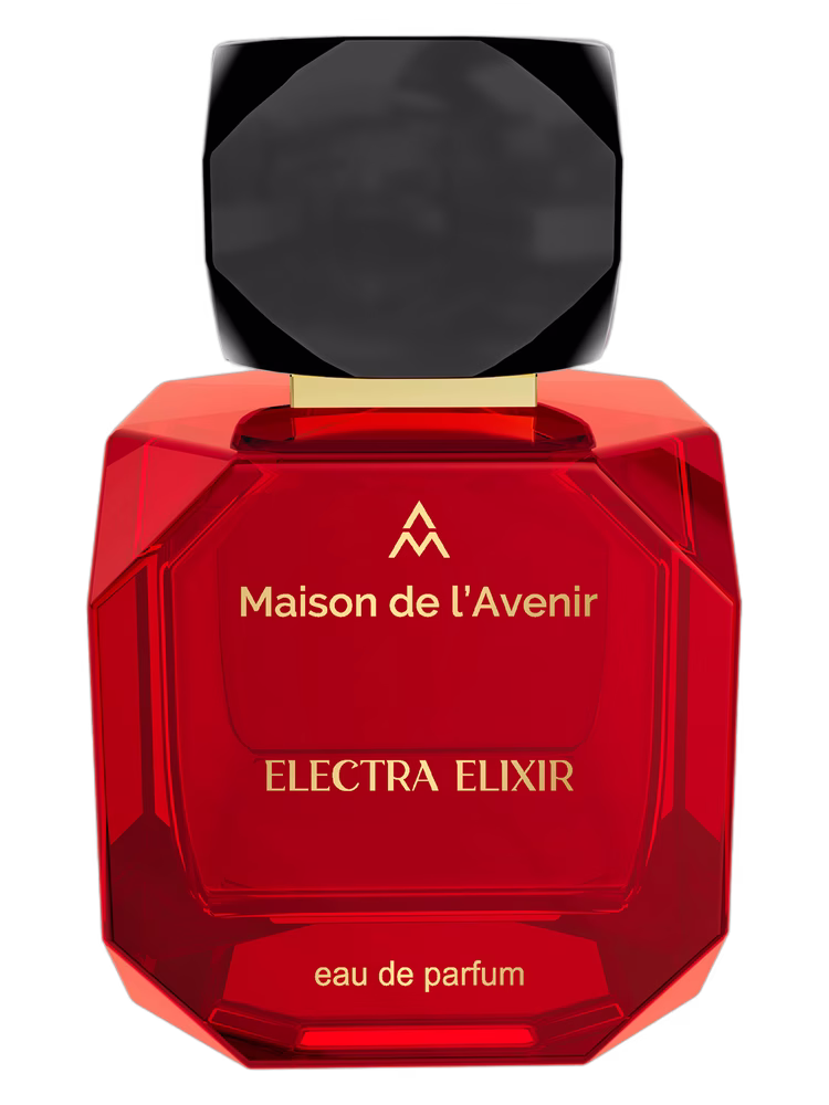 Maison de l'Avenir Electra Elixir