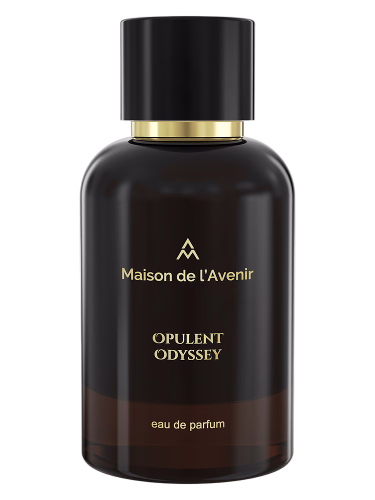 Maison de l'Avenir Opulent Odyssey