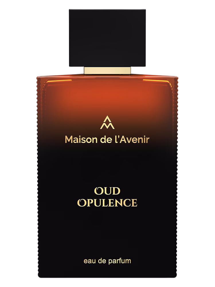 Maison de l'Avenir Oud Opulence