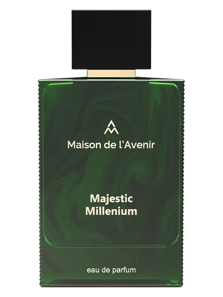 Maison de l'Avenir Majestic Millenium