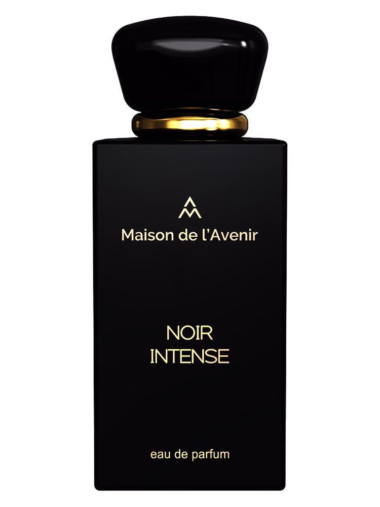 Maison de l'Avenir Noir Intense