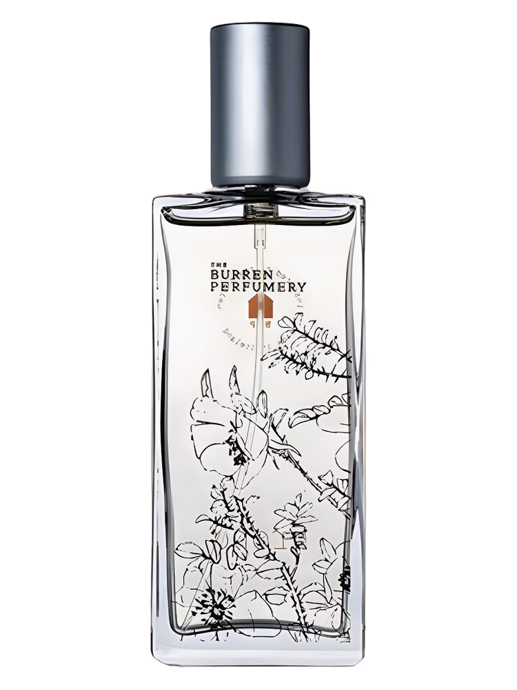 Burren Perfumery Frond
