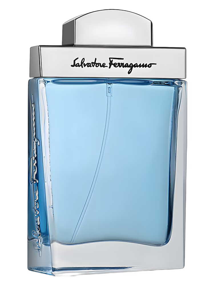 Salvatore Ferragamo Salvatore Ferragamo Subtil Pour Homme Fresh