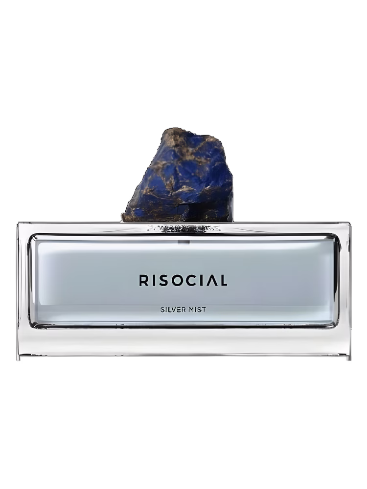 Risocial 在野南杂 Silver Mist 银雾弧光