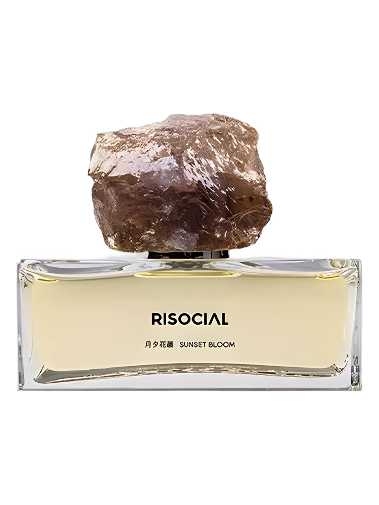 Risocial 在野南杂 Sunset Bloom 月夕花晨