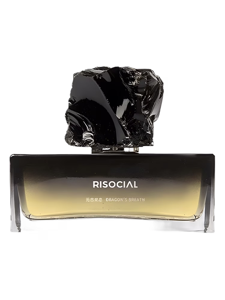 Risocial 在野南杂 Dragon’s Breath 元古龙息