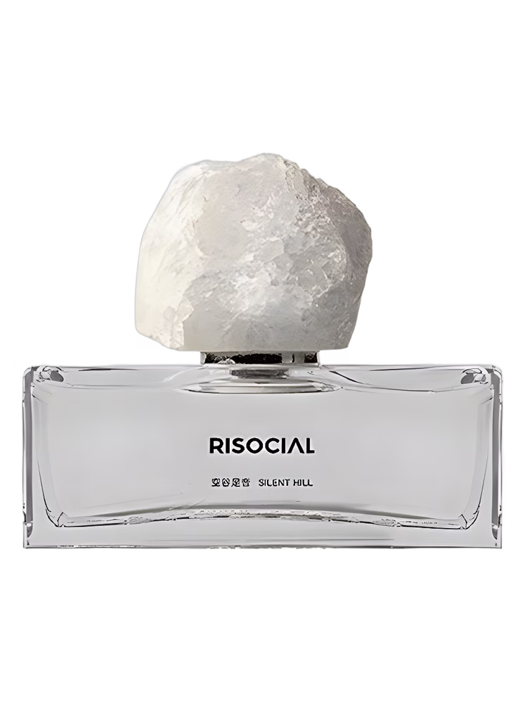 Risocial 在野南杂 Silent Hill 空谷足音