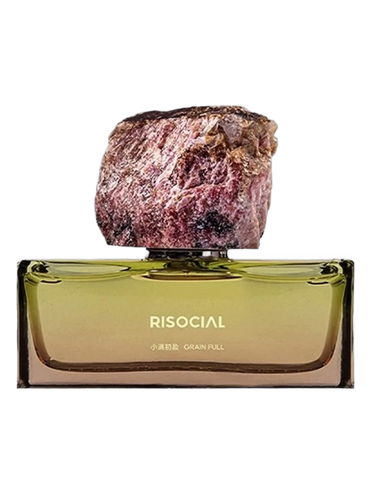 Risocial 在野南杂 Grain Full 小满初盈