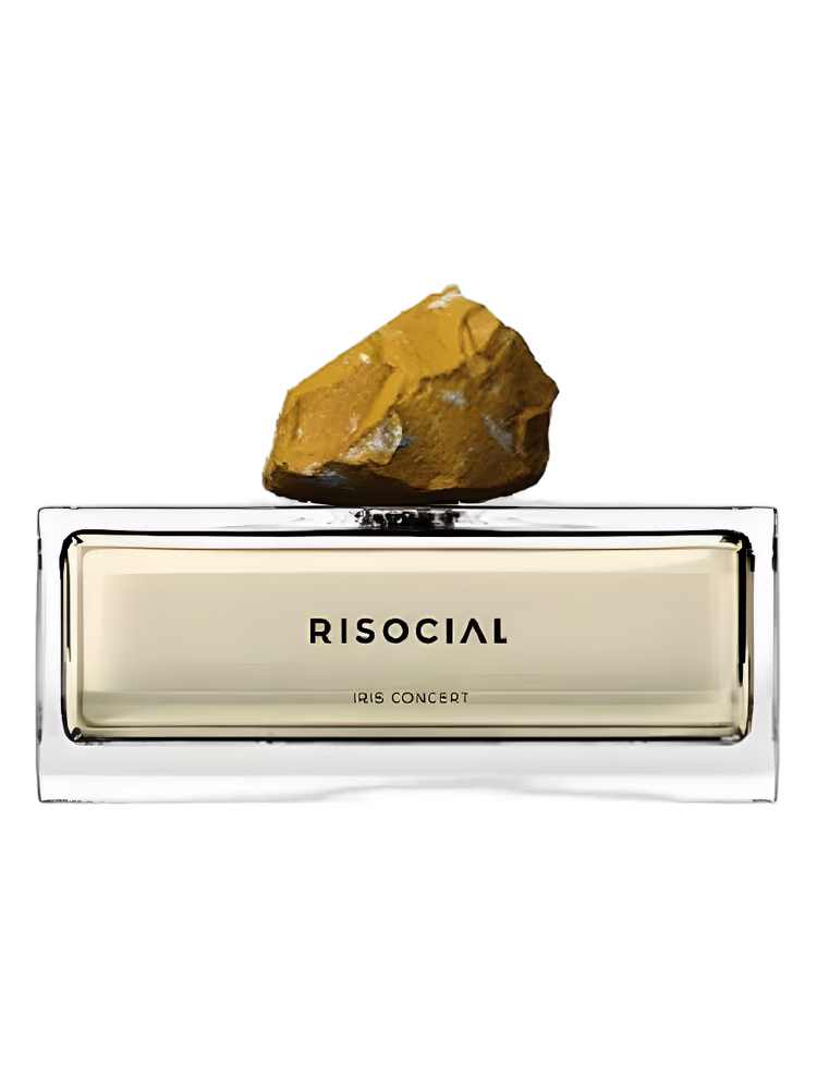 Risocial 在野南杂 Iris Concert 鸢尾阳光