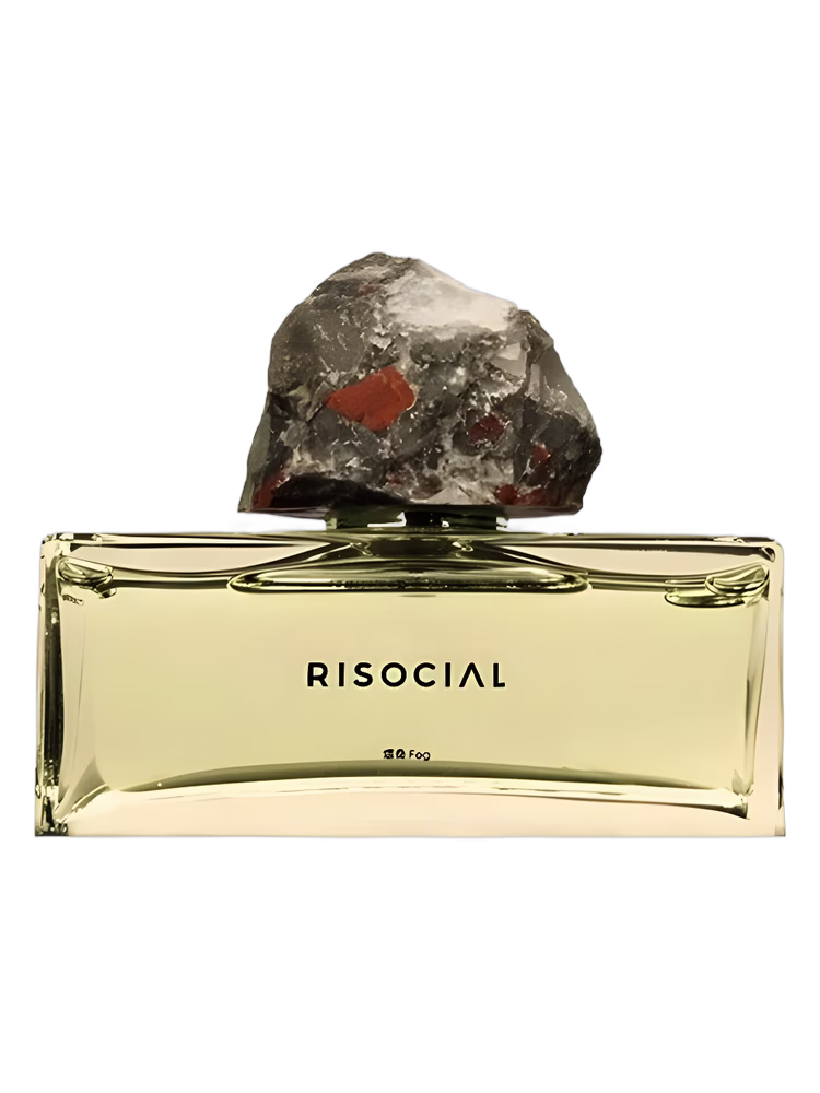 Risocial 在野南杂 Fog 炜桑