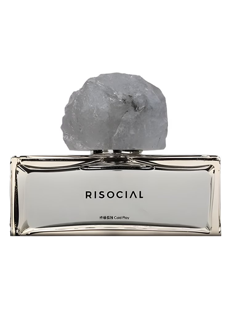 Risocial 在野南杂 Cold Play 终极孤独