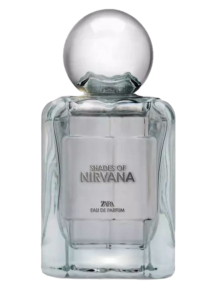Zara Shades Of Nirvana
