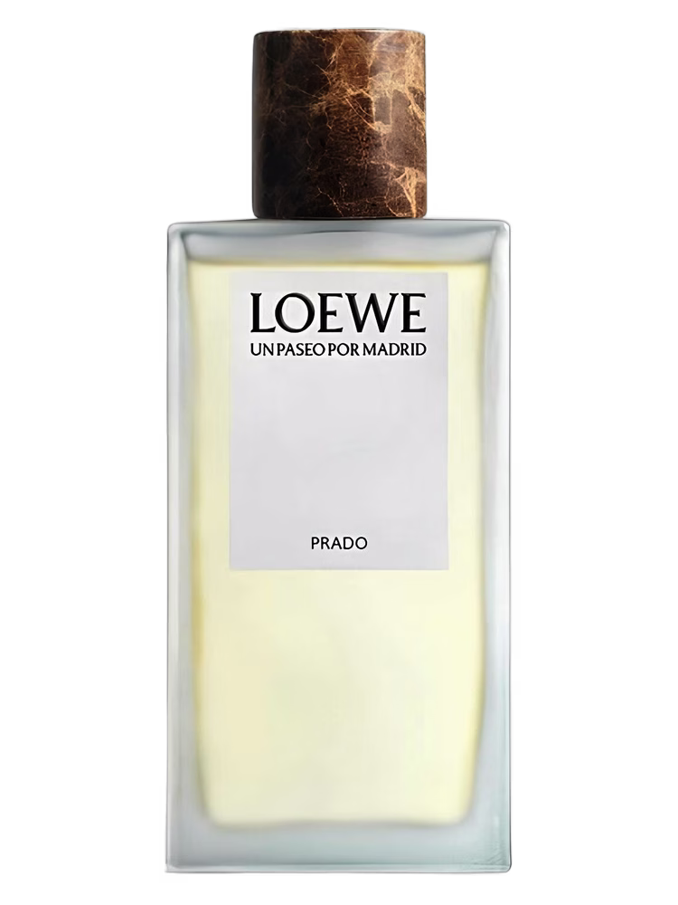 Loewe Prado