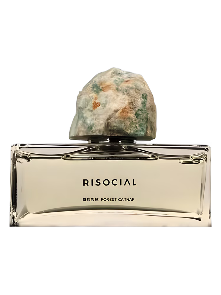 Risocial 在野南杂 Forest Catnap 森屿假寐