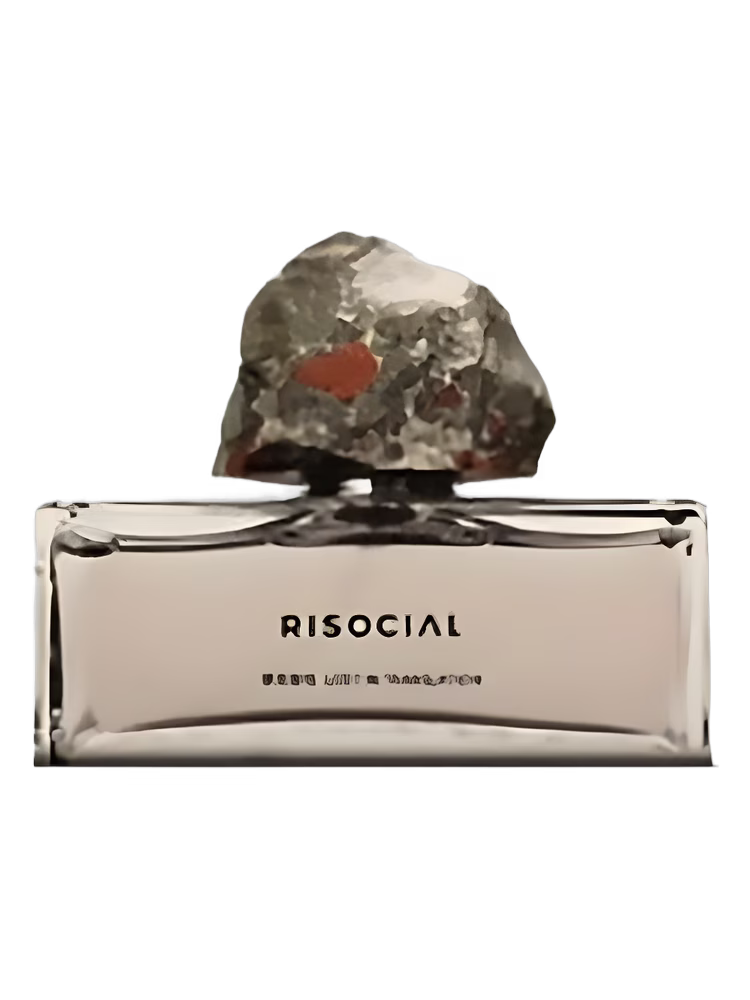Risocial 在野南杂 Lost In Translation 禁忌游戏
