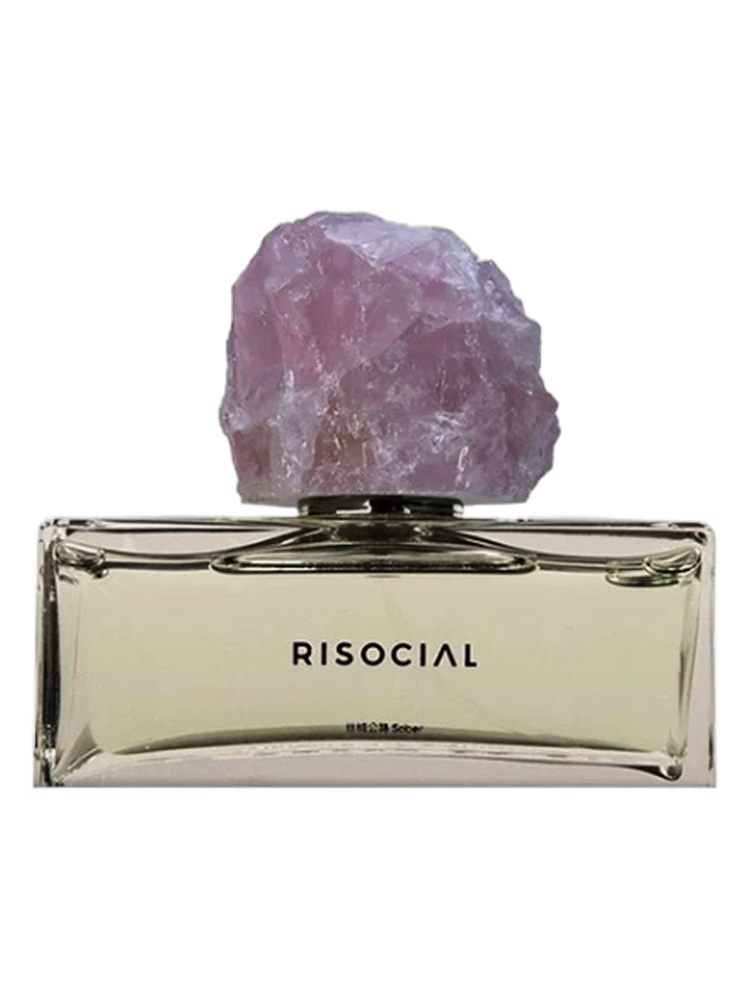 Risocial 在野南杂 Sober 丝绒公路