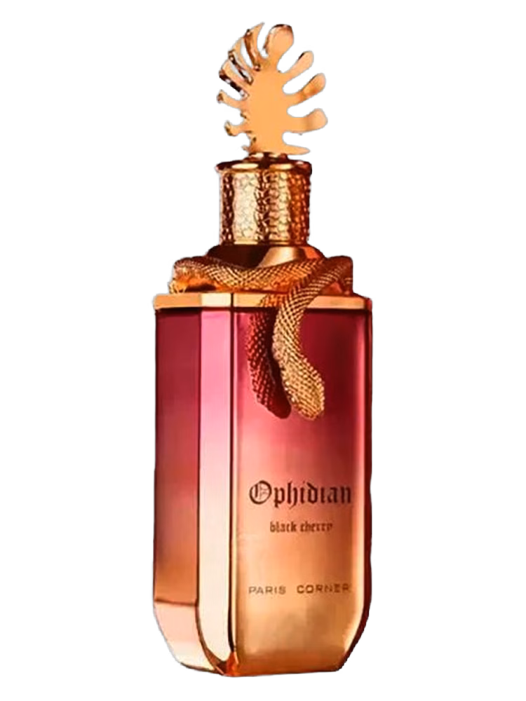 PARIS CORNER Ophidian Black Cherry