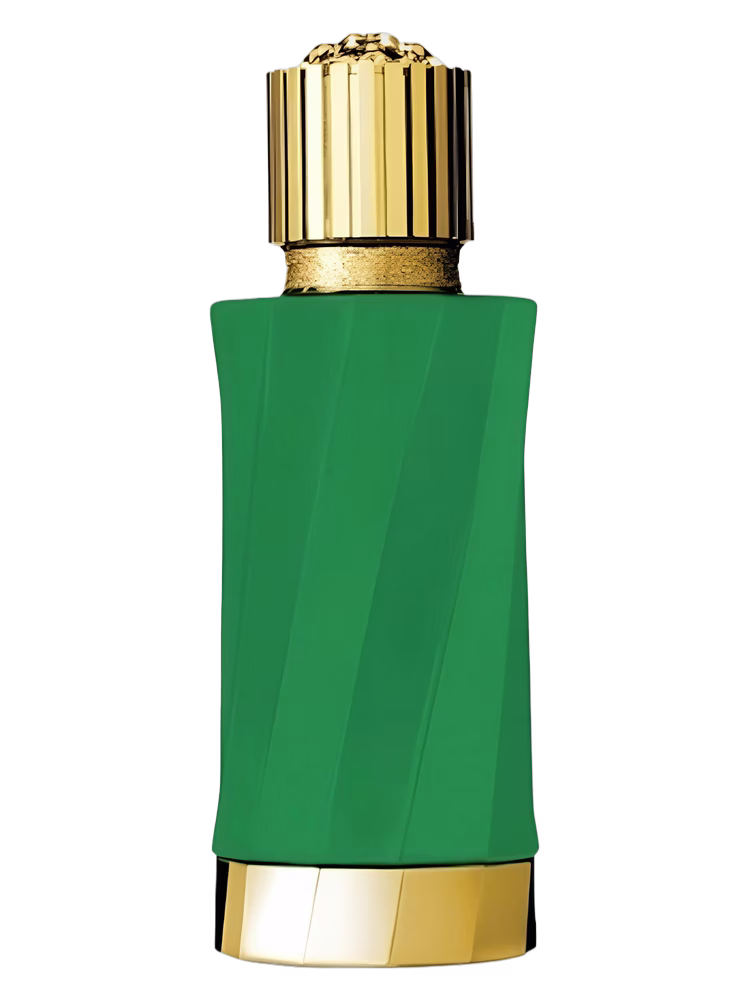 Versace Patchouli Précieux