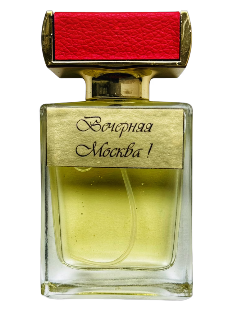 Kamila Robinson Noche Moscú (Вечерняя Москва)