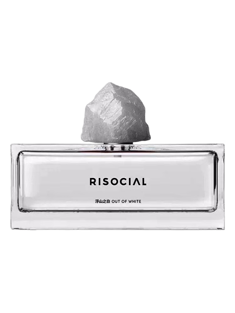 Risocial 在野南杂 Out of White 浮山之白