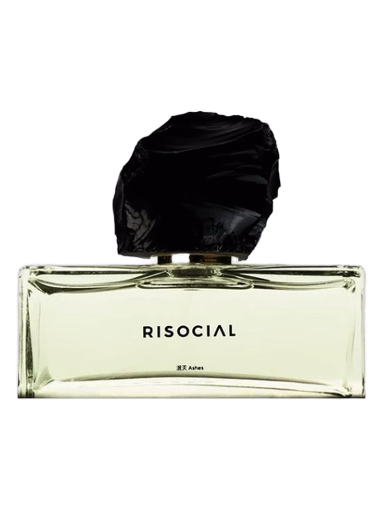 Risocial 在野南杂 Ashes 泯灭