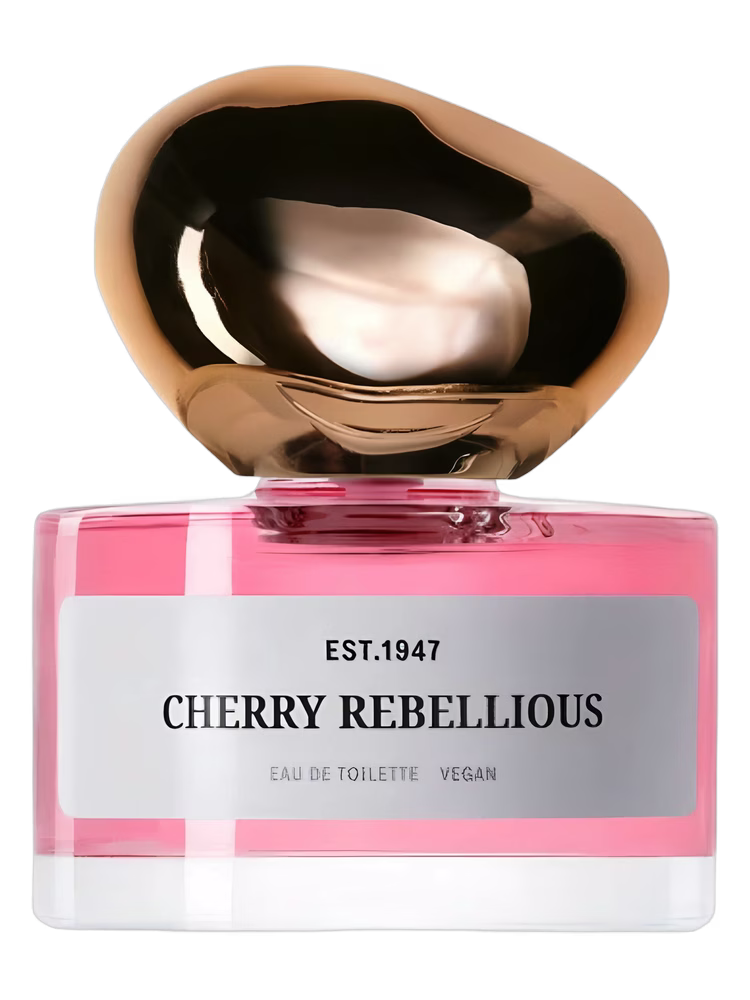 H&M Cherry Rebellious