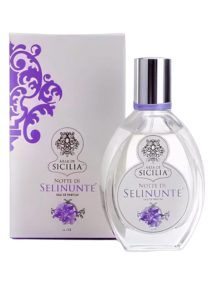 Aria di Sicilia No. 8 Notte di Selinunte