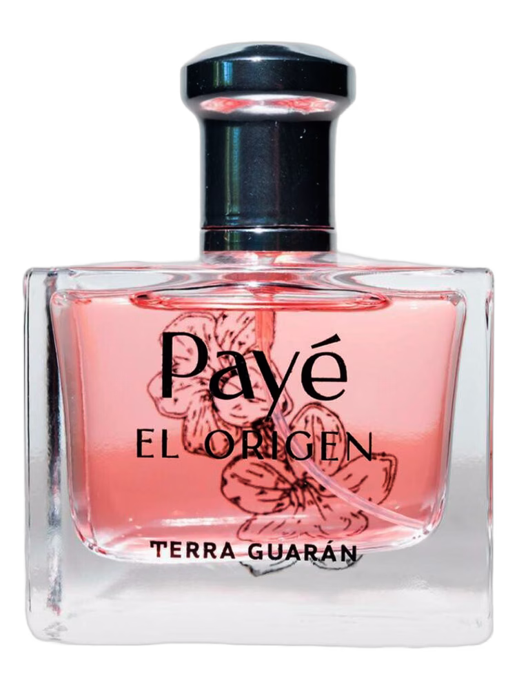 Terra Guarán Payè El Origen