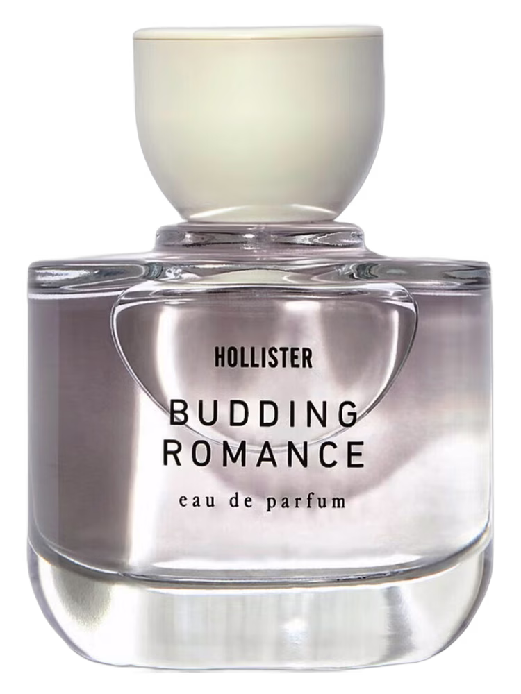 Hollister Budding Romance