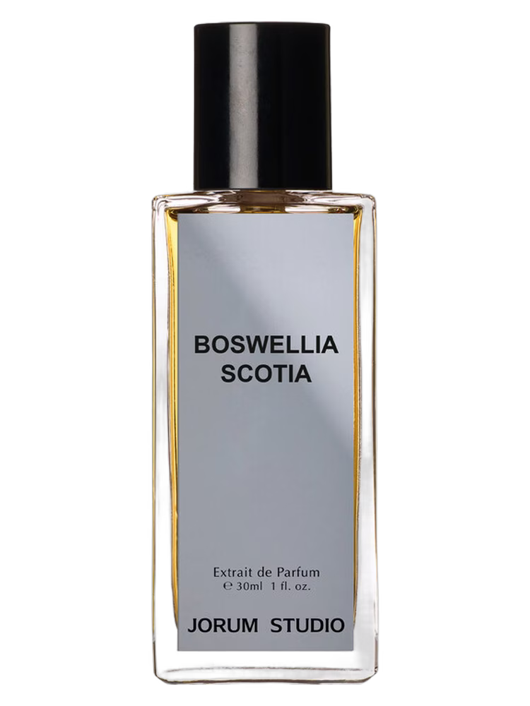 Jorum Studio Boswellia Scotia