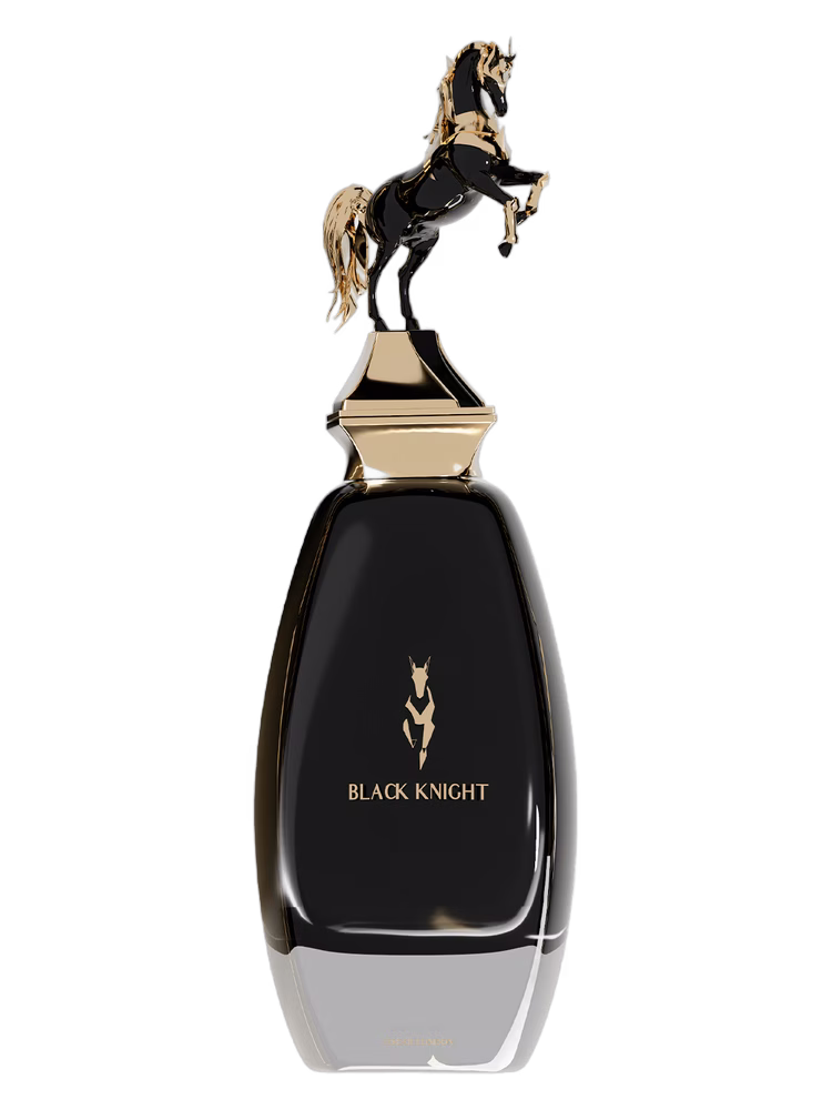 Chase Black Knight