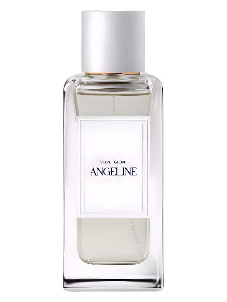 Angeline Velvet Glove