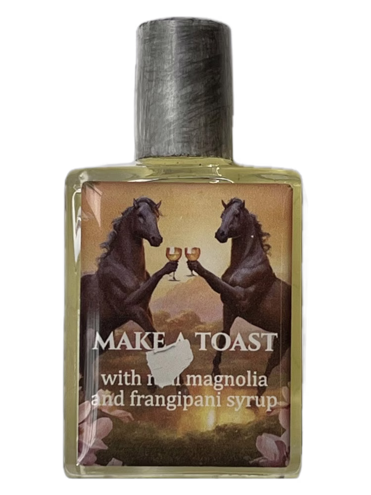 Recensione Negativa Make A Toast