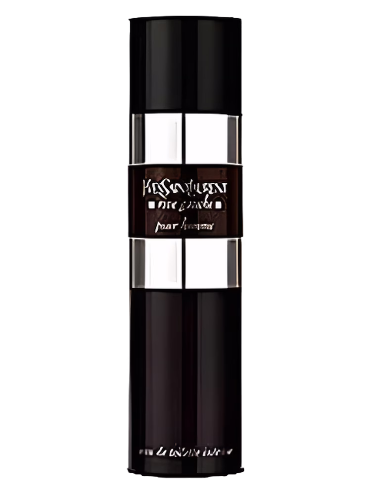 Yves Saint Laurent Rive Gauche Pour Homme Intense