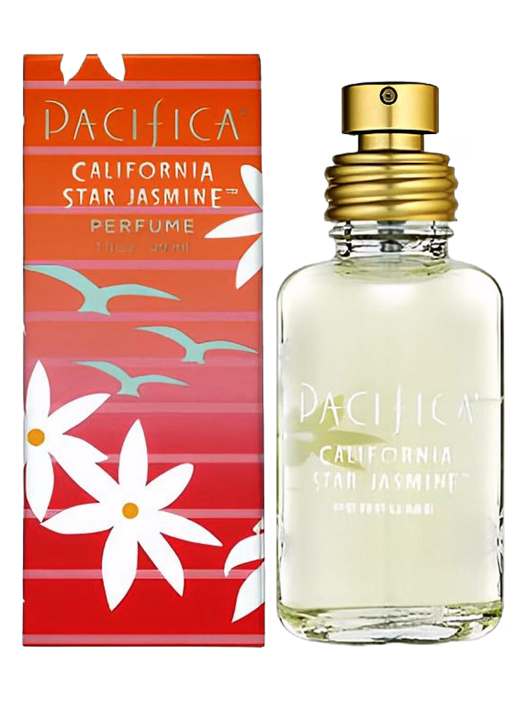 Pacifica California Star Jasmine