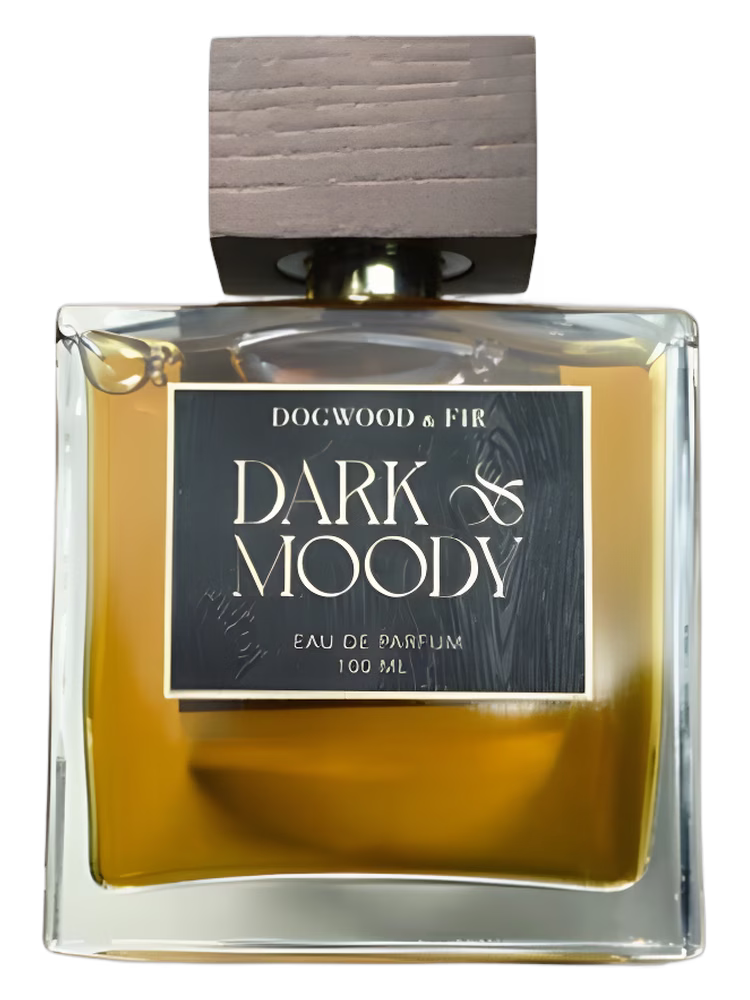 Dogwood & Fir Dark & Moody